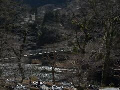 澤乃井ガーデンギャラリーです
まだ梅の季節で、庭園内の桜の木は
まだ芽吹いていません