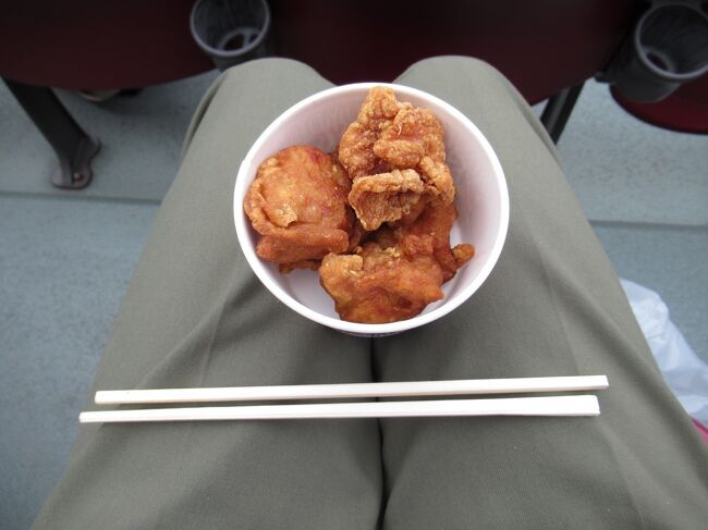 あまり間をおかずにから揚げも購入。美味しかったです。