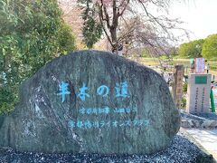 鴨川までテクテク来ると。。
目的の半木の道（なからぎのみち）に到着です！！

ここはpacorinさんに教えて頂いた桜の名所♪
