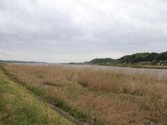 次にやってきたのが北浦の湖岸です。法律上は霞ヶ浦の一部という扱いの様ですが、実質的には霞ヶ浦から離れている細長い湖です。幼少期地図を見るのが好きな少年だったのですが、細長い湖に興味を惹かれていた事をいまでも覚えています。
ここは湖の北の端の方ですが、やはり細さはよくわかります。細長い事もあってこうやってみると川の様に見えますね。