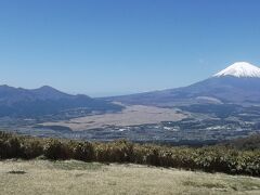 富士見ヶ丘公園　ベンチはありませんが、展望はこちらが上かも
