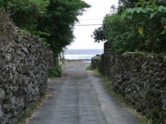 最近はコンクリート塀に変わっていますが、写真のように阿伝集落ではサンゴの石垣を見ることが出来ます。