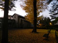 敷地内に公園がありました。
イチョウの落葉が黄色い絨毯となって、とても美しい風景でした！