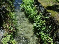 次の工場見学は、サントリー白州蒸留所。
駐車場からの道の脇には、綺麗な水が流れてる。