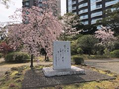 東京・半蔵門『千鳥ケ淵戦没者墓苑』の枝垂れ桜の写真。

「御製の碑」があります。