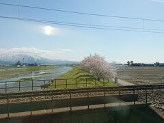 あいの風とやま鉄道に乗って泊駅を目指します。車窓から山が見え雲はあるが天気は良く桜も咲いていました。