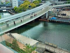 3Fのカフェから見下ろせば、桜木町駅から大岡川を横断し、新市庁舎2階で接続されている「さくらみらい橋」が眺められます。
