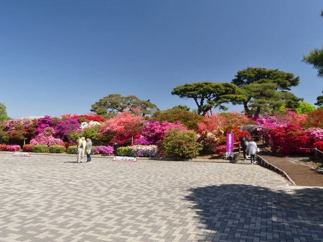 つつじが岡公園 のツツジ 21 2 満開になり 最盛期です 群馬県 館林市 館林 群馬県 の旅行記 ブログ By Minamicazeさん フォートラベル つつじが岡公園 のツツジ 21 2 満開になり 最盛期です 群馬県 館林市 館林 群馬県 の旅行記 ブログ By Minamicazeさん フォートラベル