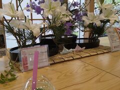 小倉城に入る前に少し、辻利茶舗で休憩しました。花を見ながらのドリンクは格別です。福岡県は花の生産量が第三位です。