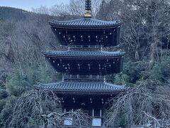 行きに気になった三重塔に寄りました。浄発願寺です。由緒あるお寺で、昔はかなり広い敷地を持っていたそうです。
