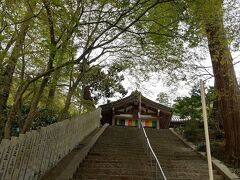 １時間程度で８１番白峯寺に到着。