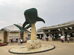 次の目的地は美ら海水族館。雨も小ぶりになってきました。16:00到着！駐車場はP7が一番近い。駐車場は車でいっぱい。

4時からチケット1310円を購入して中に入ります。営業は6時半まで。2時間半あれば十分だね。


沖縄美ら海水族館
〒905-0206 沖縄県国頭郡本部町石川424番地
TEL：0980-48-3748
https://churaumi.okinawa