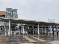 雨宿りに海遊館に入りました。何か面白いイベントありすか？と聞いたらジンベエザメの餌やりがありました！