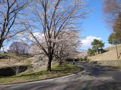 乙女湖公園