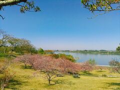 見晴らしが良い所にあるので、四季折々の花や長沼を見る事が出来ます。手前は兵糧山キャンプ場です。無料ですし、予約は不要です。土地は傾斜状態な場所が多いので水平場所は少ないです。長沼を眺めながら静かに過ごせると思います。なお、今の時期は新型コロナの影響で利用はできません。