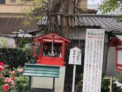 愛染堂勝鬘院(愛染さん)