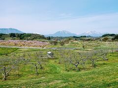家から約30分。
丹霞峡に到着です。
ここは標高500mの丘に桃とリンゴの畑が広がります。
桃は満開、リンゴの花はまだですね。