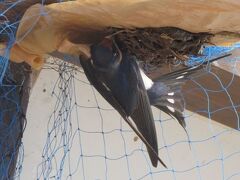 「道の駅 あがつま峡」