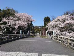 バスを降りて少し戻ると護国神社があったので、こちらに参拝しました。桜が綺麗です。