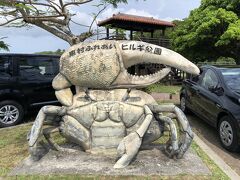 山道で地元の車両に煽られながらもヒルギ公園に到着しました。
ここから北側にはやんばる国立公園があるけど、夜のフライトに間に合わないと困るから、沖縄本島で最大のマングローブの林を散策することに。