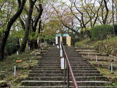 三尾神社に参拝後、三井寺へ