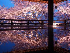 これがそのリフレクション☆彡