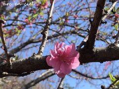 山みず木別邸 深山山荘