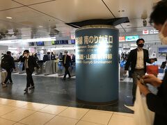 1時間ちょっとで東京到着。特急南紀で新宮から名古屋まで3時間かかったのに。新幹線って早いんだなー。