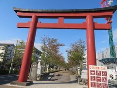 段葛（だんかずら）
２０１６年３月３０日に改修工事が完了してきれいに。
その時に立ち枯れが目立ち始めてきた桜の植え替えも行われたそうです。