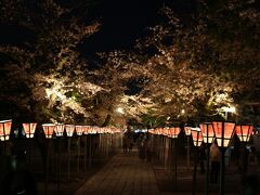 最後、夜桜のライトアップをやっているという三嶋大社へ。
