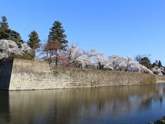 市内の宿にチェックイン、歩いて鶴ヶ城の桜を見に行きました。
