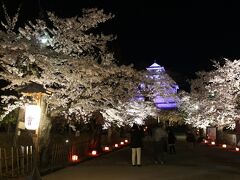 いったん宿に戻って休憩、その後桜のライトアップを見に再度鶴ヶ城へ。