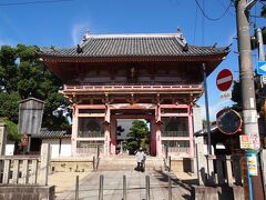 11：28　紫雲山　葛井寺　
ここが正面参道です。南大門は1800年に再建されたもの。

石段をチャリで登ろうと必死になってる人がいて、あきらめて裏門まで走った方が早いと思うんだけど、この後もずっと頑張って門を越えてた。
