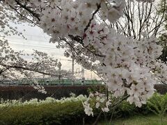 鉄道博物館や水族館があったりします。

関連旅行記：『京の週末 「関西文化の日」京都鉄道博物館 & 京都府立植物園』
https://4travel.jp/travelogue/11431990