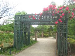 平成つつじ公園