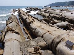 見残し海岸からまた延々と山の中を歩いて駐車場に戻り、竜串海岸へ。
ちなみに、ここから見残し海岸までグラスボートが出ていて、そっちが正規ルート。
行き方が2通りあるというレベルではなく、あの案内の無さと道路の整備状況を考えると、山道を歩いて行くことは想定されていない。
竜串海岸もまた見事だった。
47都道府県2周目だが、まだ日本にはこんなにも面白い場所が残っているのだなぁ。
遠いけど。