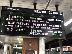 北を目指す旅の始まりは大体上野駅から。まずは8時34分発のなすの253号に乗って新白河へ。

なすのに乗るの結構久しぶりですね。