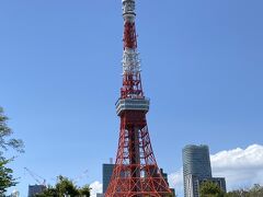 大イチョウを見た後は
芝公園を少し散策
芝公園からは東京タワーが足元まで見えますね