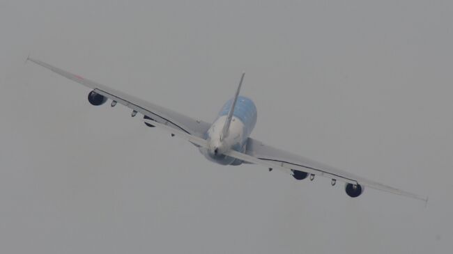 セントレアにａｎａ ａ３８０亀ちゃんがやってきた 常滑 セントレア 中部国際空港 愛知県 の旅行記 ブログ By ３８うさぎさん フォートラベル