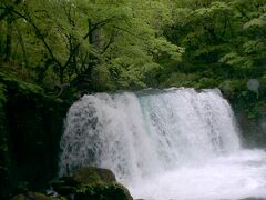 　奥入瀬渓流最大の瀑布「銚子の大滝」。ここから子ノ口までは３０分でした。