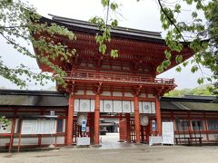 また靴を濡らすことに怯えながら恐る恐る下鴨神社。

地雷地帯を歩くような歩き方でさーっと参拝だけしました。
