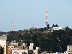 良い天気です。今日は西山動物園に行きます。