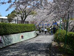 動物園が見てきました。