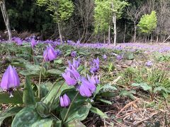 沢山の方が写真を撮っている