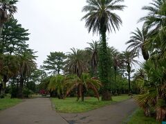 宮交ボタニックガーデン青島は、無料とは思えないくらい、よく整備された植物園でした。
中には温室やカフェもありました。

