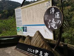 さらにクルマを進めると、石川さゆりさんのヒット曲で全国的に有名になった浄蓮の滝の駐車場があり、滝を見物することに。