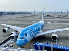 今回の旅行も中部国際空港セントレアから出発です！

セントレアには、ANAの「FLYING HONU（フライング・ホヌ）」駐機中でした。
偶然にも遊覧飛行の開催日だったのです。

お昼の12時頃に離陸予定のことですが　展望台には、場所を確保して撮影されている方がいらっしゃいました。

ホヌに会えてラッキーでした！