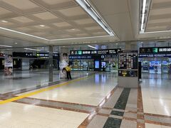 いつも通り仕事を終えて京成線で成田空港第１ターミナル駅にに到着。

普段なら様々な国籍の人でにぎわっている成田空港駅も、人は全くと言っておらず。
当たり前だが、いきなり結構ショッキングな光景だった。
羽田に比べて国際線の割合が多いのも当然なのだが。