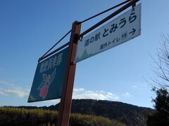 お次は道の駅とみうらへ