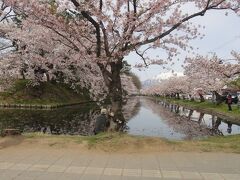 「弘前公園の桜」と「岩木山」。